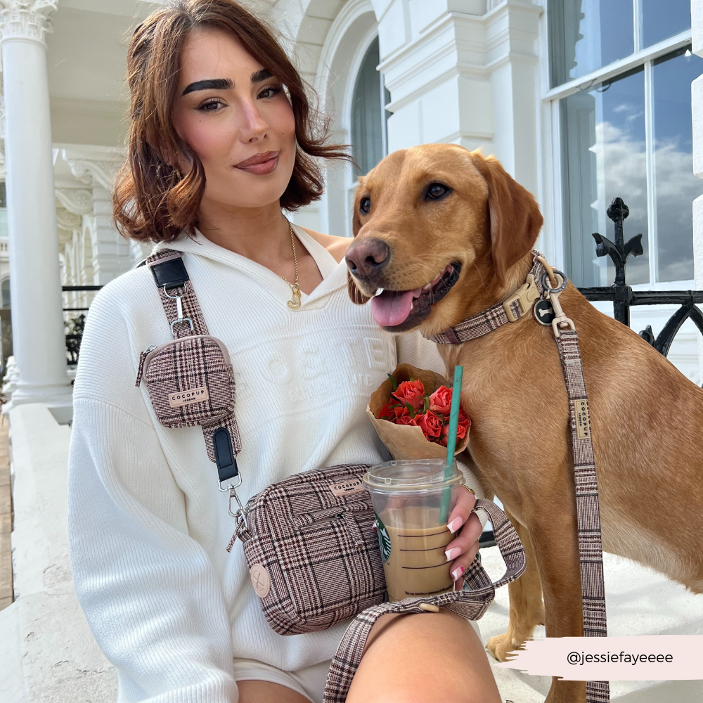 Dog Walking Bag Bundle - Pup Plaid