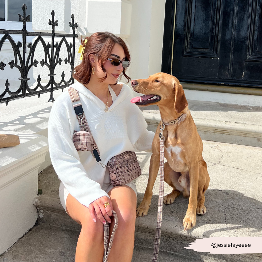 Dog Walking Bag Bundle - Pup Plaid