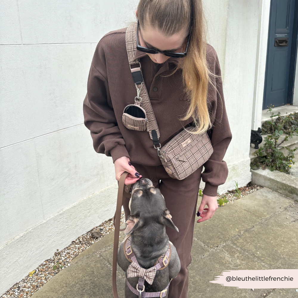Dog Walking Bag Bundle - Pup Plaid