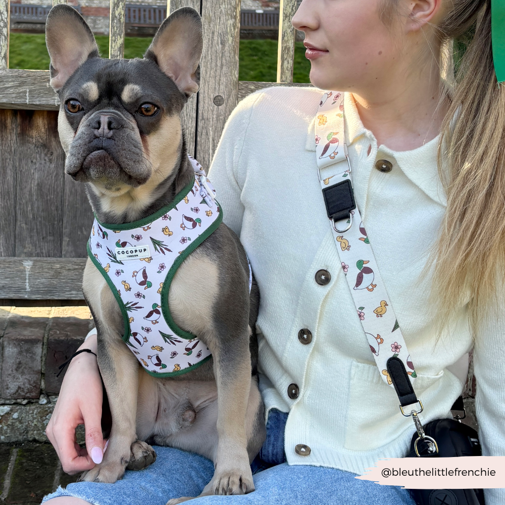 Dog Walking Bag Bundle - Puddle Pup