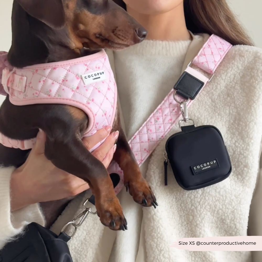 Dog Walking Bag Bundle - Quilted Ditsy Floral Pink
