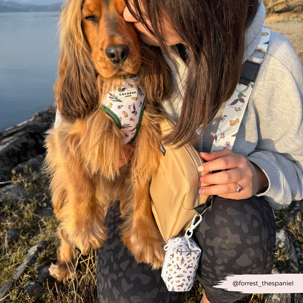 Dog Walking Bag Bundle - Puddle Pup