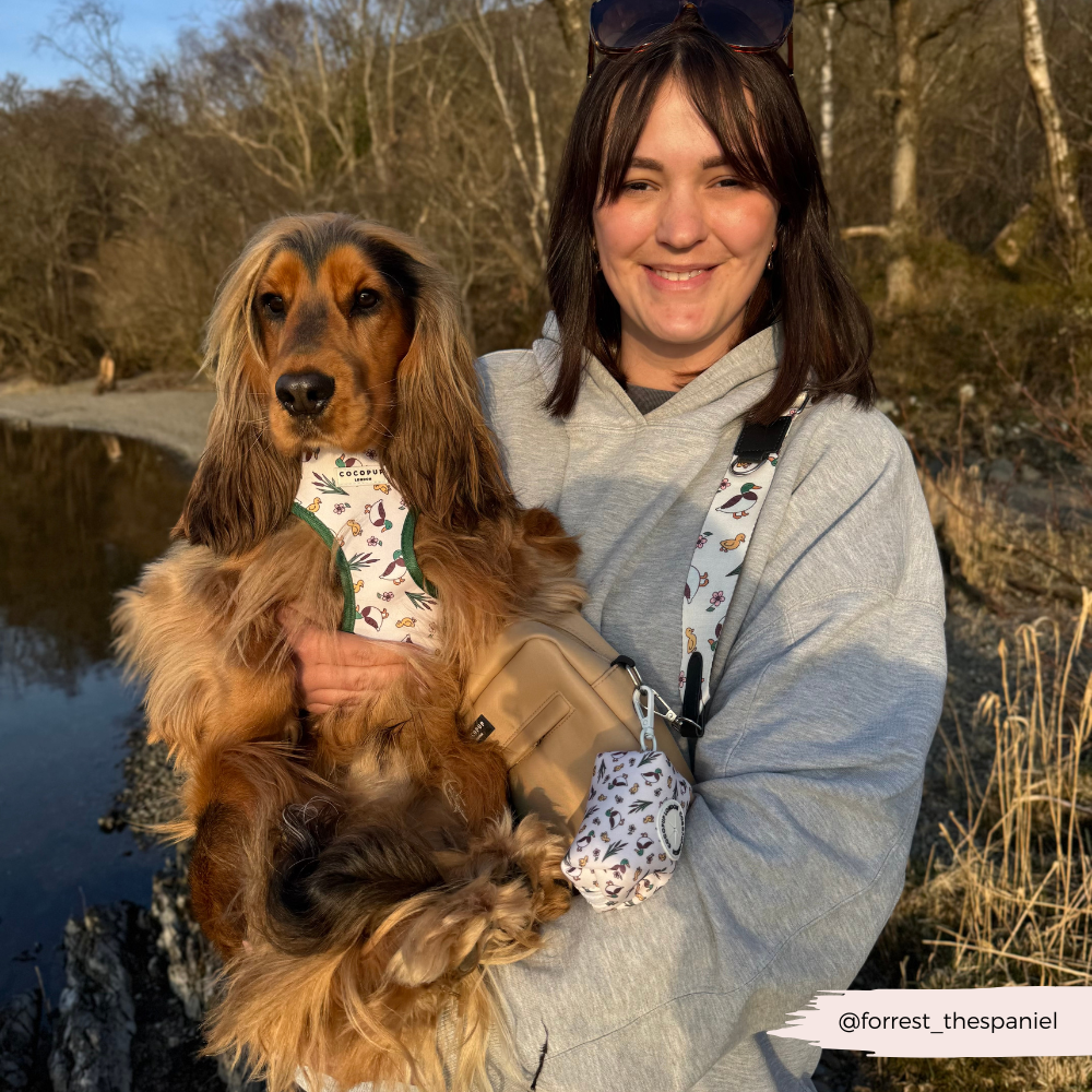 Dog Walking Bag Bundle - Puddle Pup