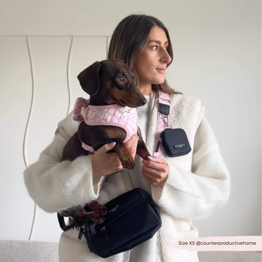 Dog Walking Bag Bundle - Quilted Ditsy Floral Pink
