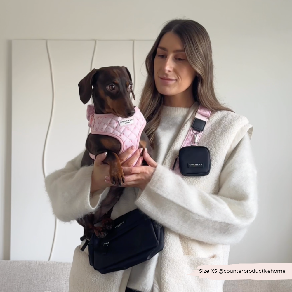 Dog Walking Bag Bundle - Quilted Ditsy Floral Pink