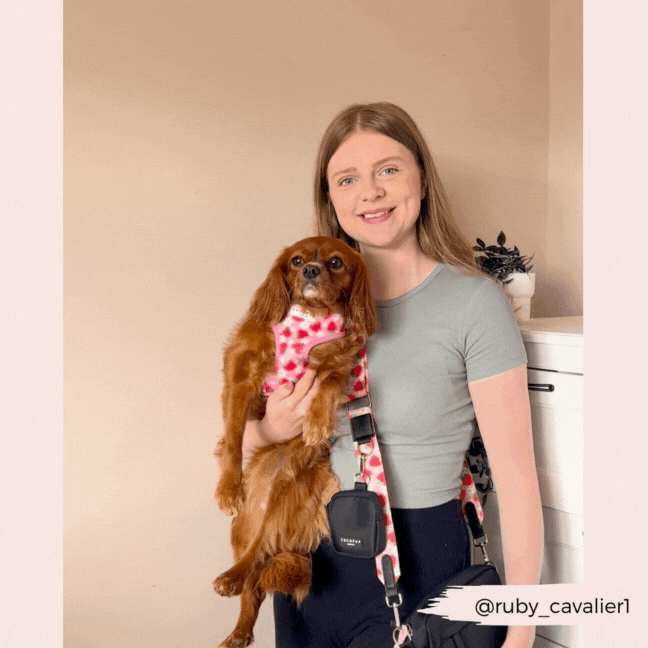 Dog Walking Bag Bundle - Pupberry Fields