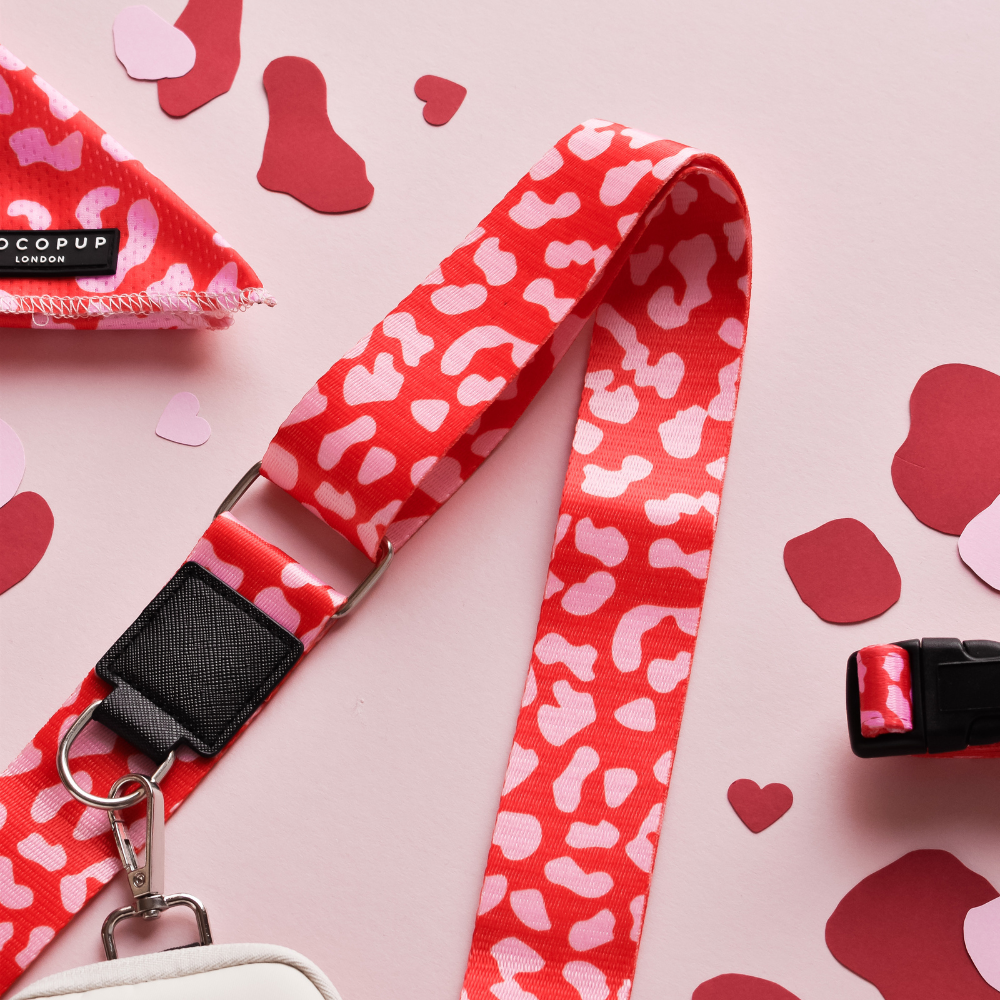 Dog Walking Bag Bundle - Red & Pink Leopard